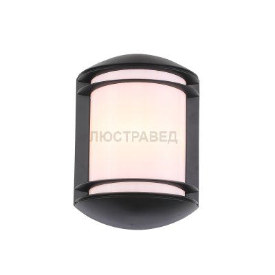 Светильник уличный настенный St luce SL076.401.01