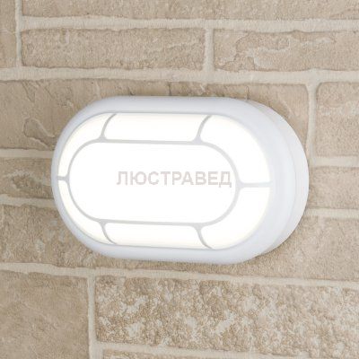 Уличный светильник Электростандарт LTB08