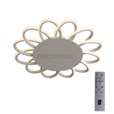 Светильник St luce SL828.502.12