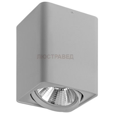 Светильник точечный накладной Lightstar 212639 Monocco 