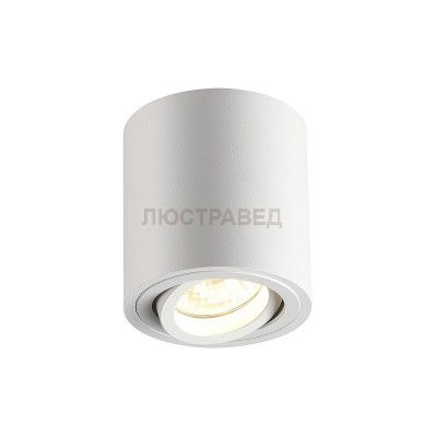 Потолочный накладной светильник Odeon light 3567/1C TUBORINO