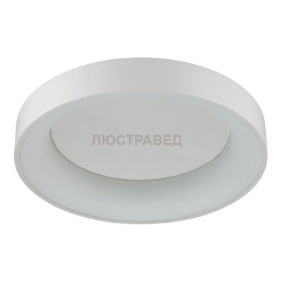 Светильник Odeon Light 4062/40CL