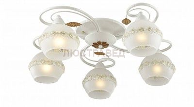 Светильник Lumion 3429/5C