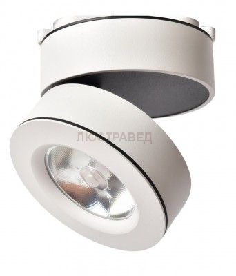 Светильник Arte Lamp A2508PL-1WH