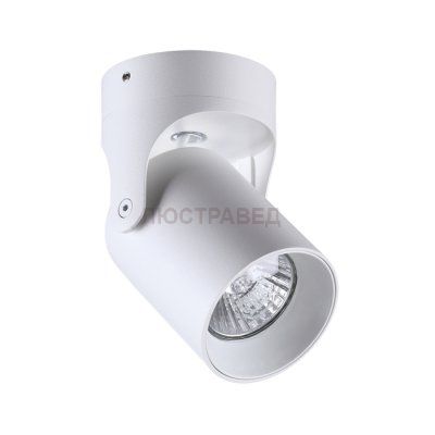 Потолочный накладной светильник Odeon light 3854/1C CORSUS