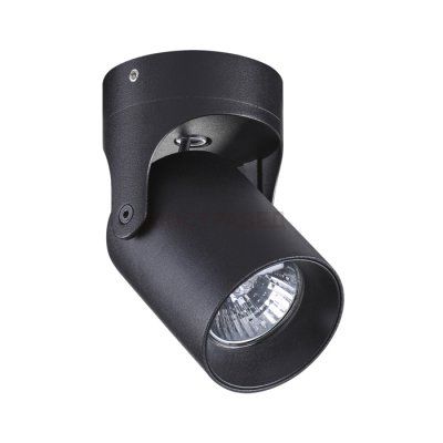 Потолочный накладной светильник Odeon light 3855/1C CORSUS