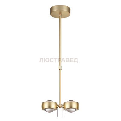 Подвесной светильник Odeon light 3874/20L OTTICO