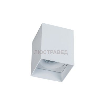 Светильник Maytoni C015CL-01W