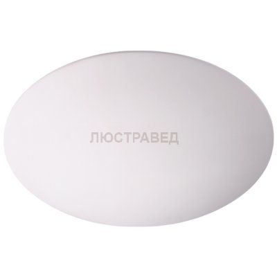 Накладной светодиодный светильник Novotech 357929 CAIL