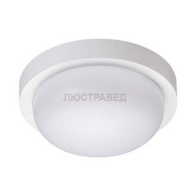 Светильник ландшафтный светодиодный настенно-потолочного монтажа Novotech 358014 OPAL