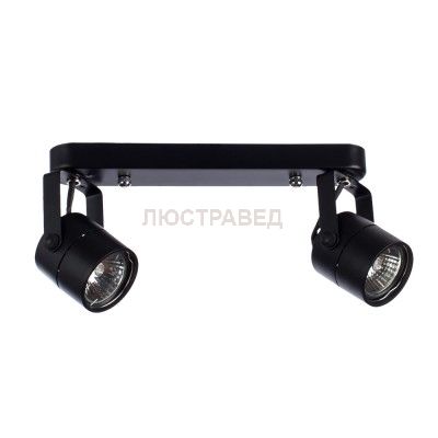 Светильник потолочный Arte lamp A1310PL-2BK LENTE