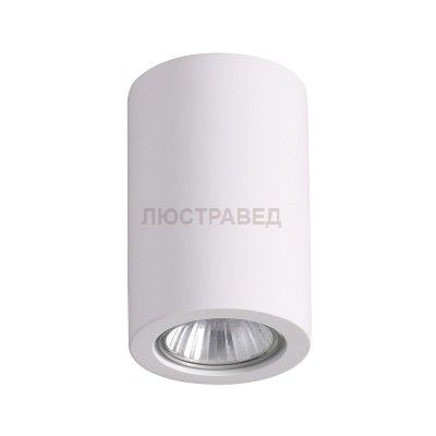 Потолочный накладной светильник Odeon light 3553/1C GESSO