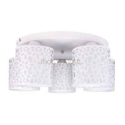 Светильник потолочный Arte lamp A8349PL-5WH Traforato