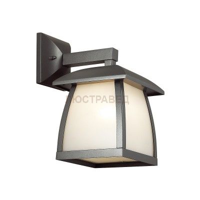 Уличный настенный светильник Odeon light 4049/1W TAKO