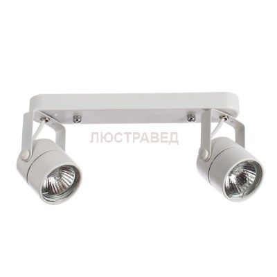 Светильник потолочный Arte lamp A1310PL-2WH LENTE