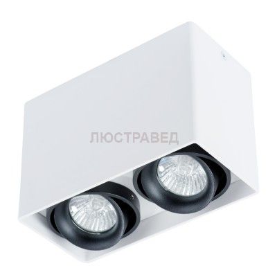 Светильник Arte Lamp A5655PL-2WH