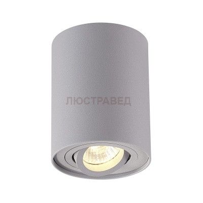 Светильник Odeon light 3831/1C