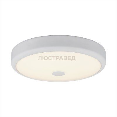 Светильник настенно-потолочный Citilux CL706130 Фостер-1