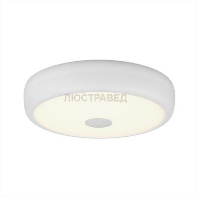 Светильник настенно-потолочный Citilux CL706320 Фостер-3