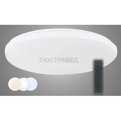 Потолочный светодиодный светильник Arti Lampadari Bianco E 1.13.49 W