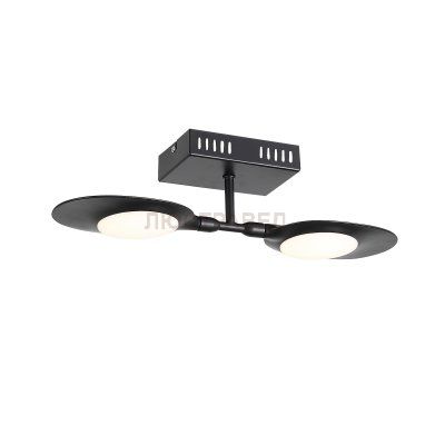 Светильник настенно-потолочный St luce SL824.401.02 FARFALLA