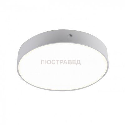 потолочный светильник Favourite 2065-30C Flashled