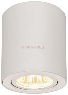 Светильник накладной Citilux CL538111 Дюрен