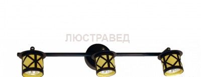 Светильник настенно-потолочный Citilux CL536531 Гессен