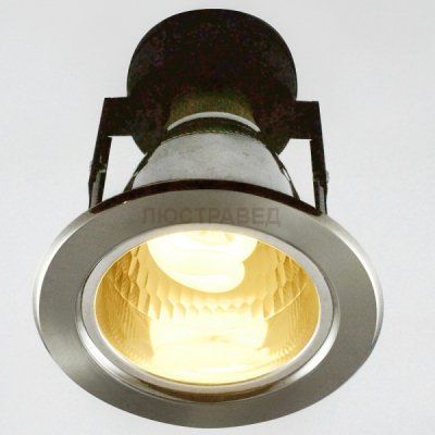 Светильник Arte lamp A8043PL-1SS Downlights