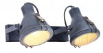 Светильник Arte Lamp A9178AP-2GY